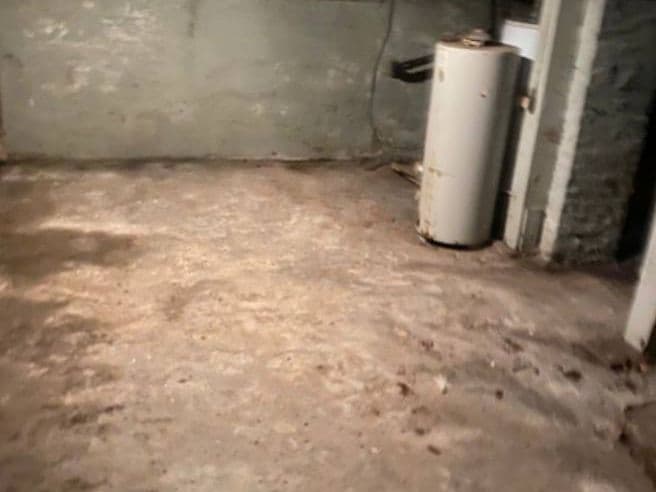 Basement cleanout in Cellar, after Premium Junk Removal & Demo cleared it